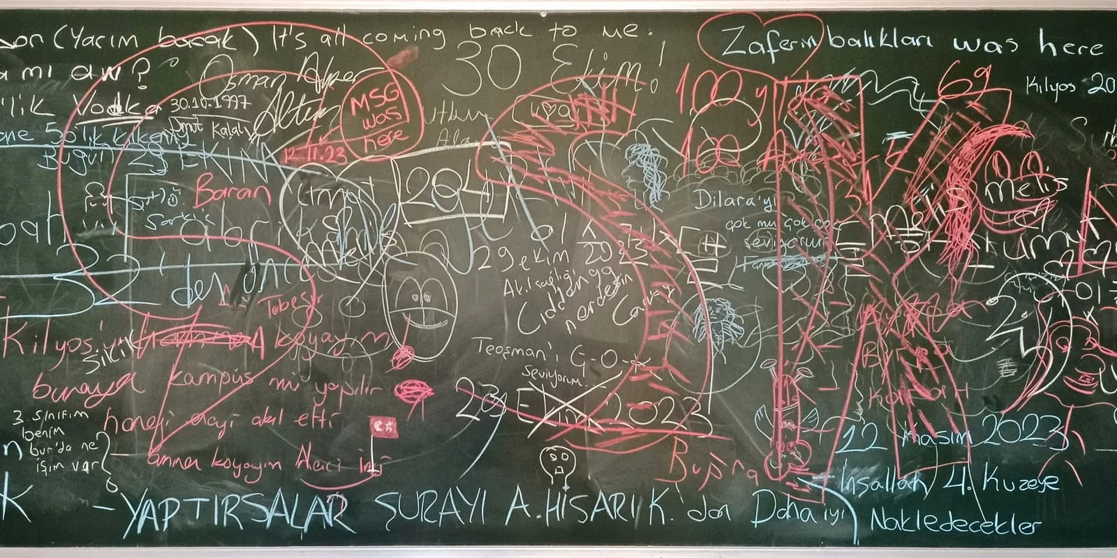 Boğaziçi Üniversitesi kampüsünden bir fotoğraf