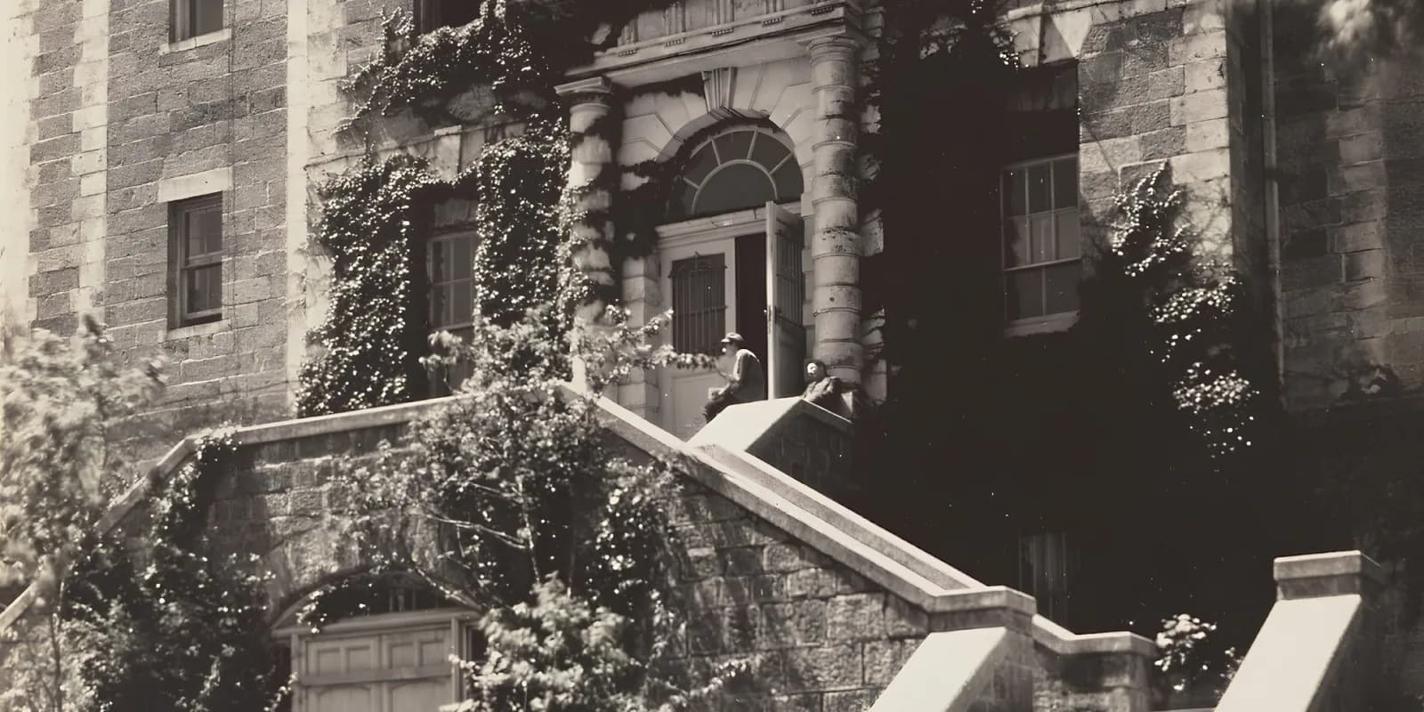 Boğaziçi Üniversitesi kampüsünden bir fotoğraf