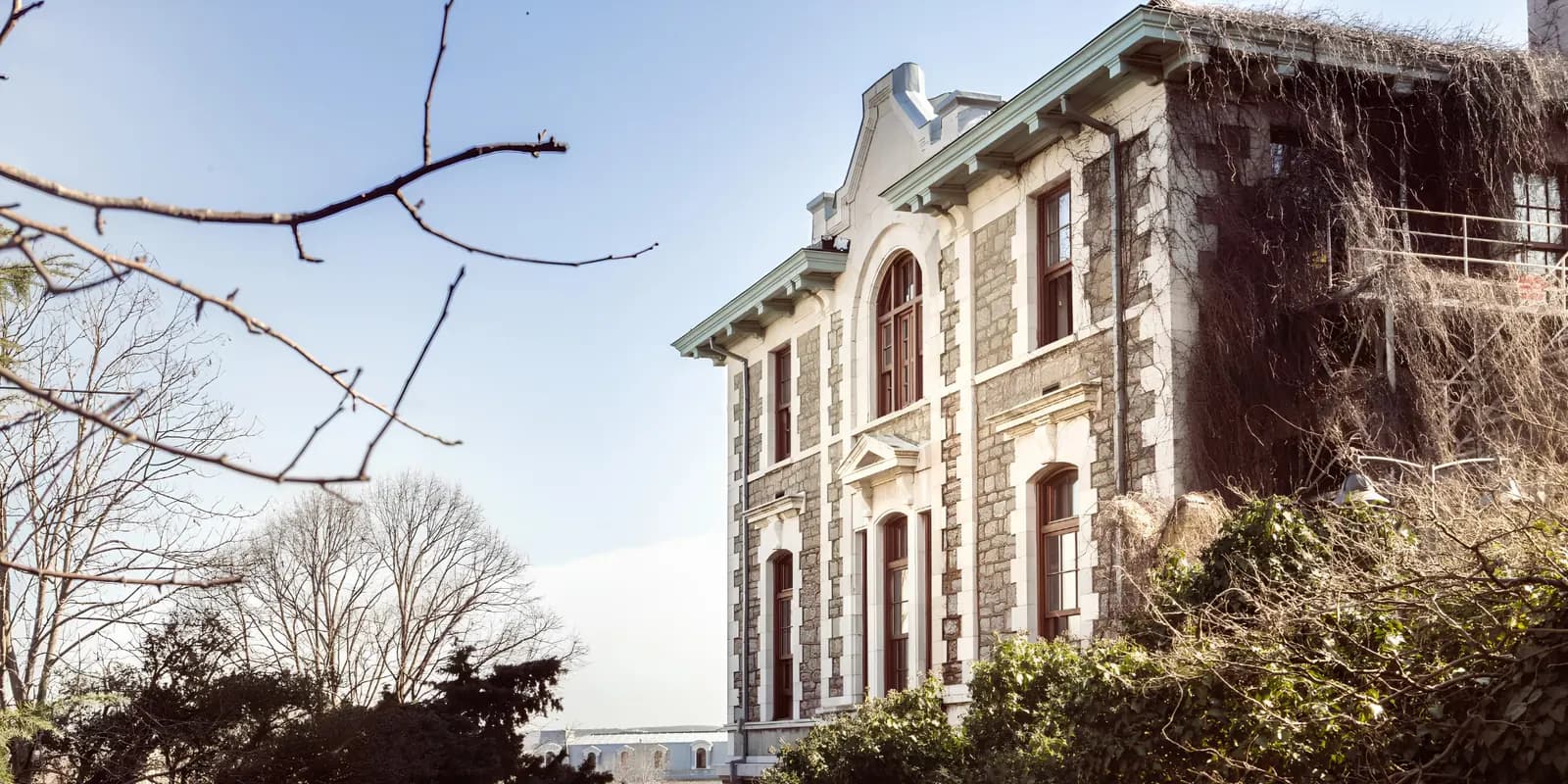 Boğaziçi Üniversitesi kampüsünden bir fotoğraf